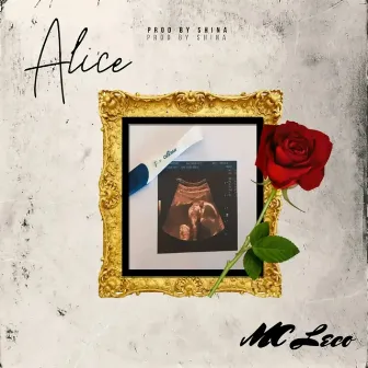 Alice by Mc Leco