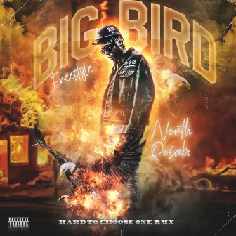 Big Bird Freestyle (Hard to Choose One Remix) by North Rosabi