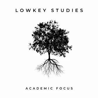 LOWKEY STUDIES by Academic Focus