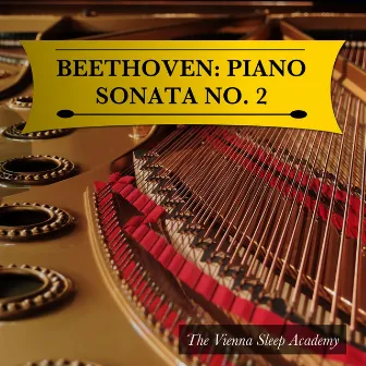 Beethoven: Piano Sonata No. 2 by The Vienna Sleep Academy