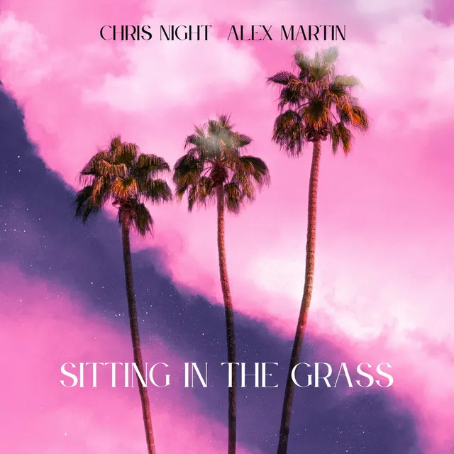 Sitting in the Grass - Radio Edit