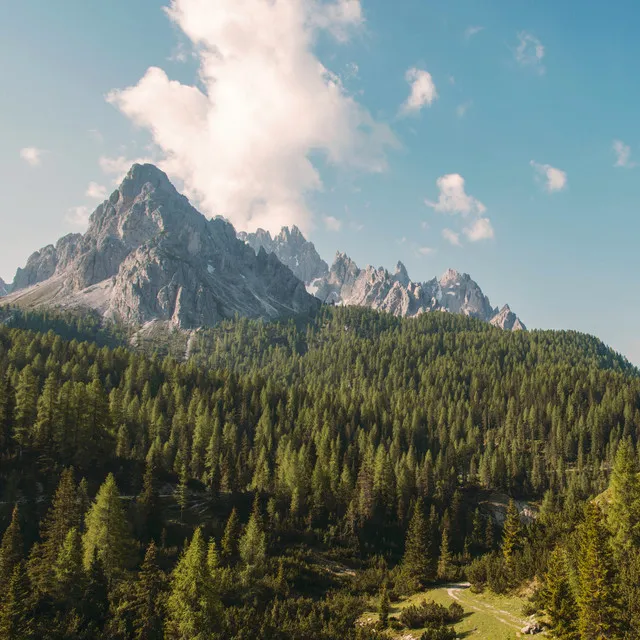 Drawing Landscape - Mountain Whispering