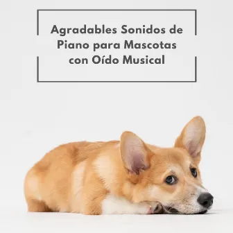 Agradables Sonidos De Piano Para Mascotas Con Oído Musical by Los jugadores del salón de cócteles