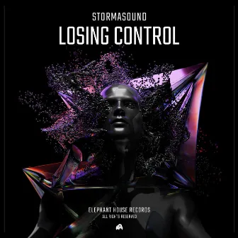 Losing Control by Stormasound