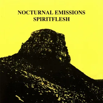 Spiritflesh by Nocturnal Emissions