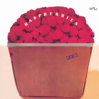 Side 3 by Raspberries