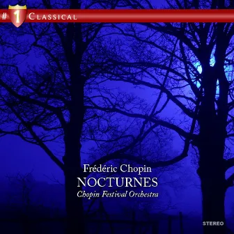 Chopin: Nocturnes by Ida Cernecka