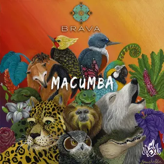 Macumba by Brava