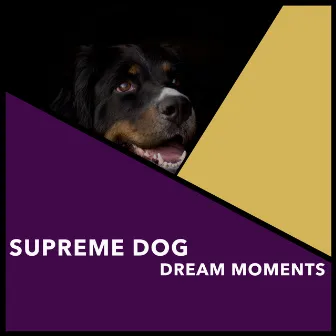 Supreme Dog Dream Moments by Puppy Music