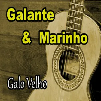 Galo Velho by Galante