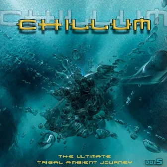 Chillum Vol. 5 - The Ultimate Tribal Ambient Journey by Digital Eclipce