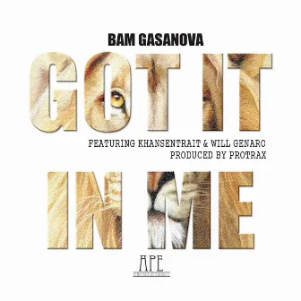 Got It In Me by Bam Gasanova