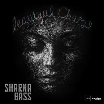 Beautiful Chaos by Sharna Bass