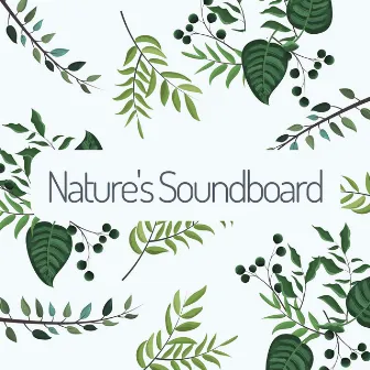 Nature's Soundboard by Soothing Nature Sounds