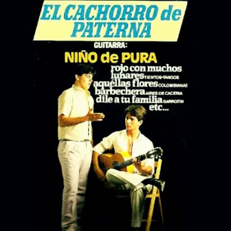 El Cachorro de Paterna by Niño de Pura