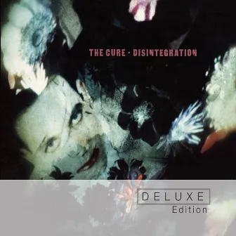 Disintegration (Deluxe Edition) by Unknown Artist