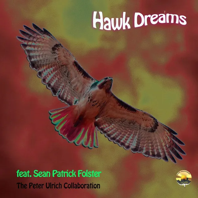 Hawk Dreams