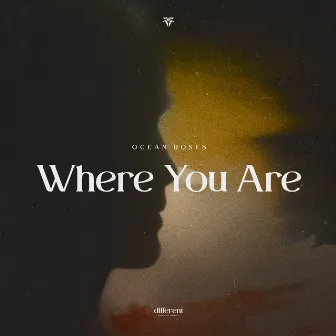 Where You Are by Ocean Roses