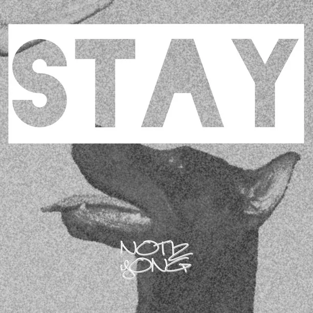 Stay