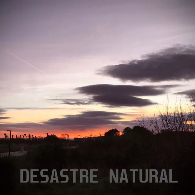 Desastre Natural