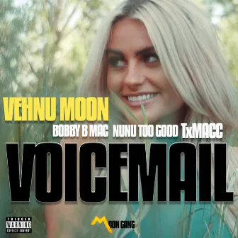 Voicemail by Vehnu Moon