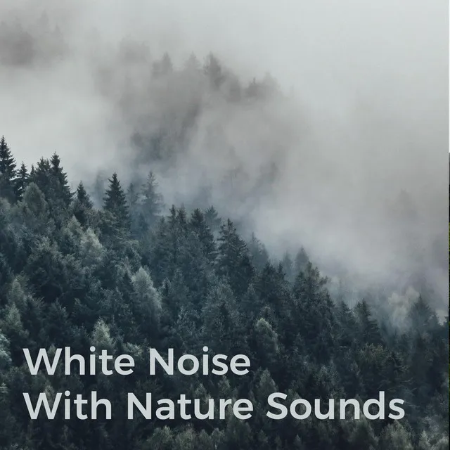 White Noise with Nature Whistling