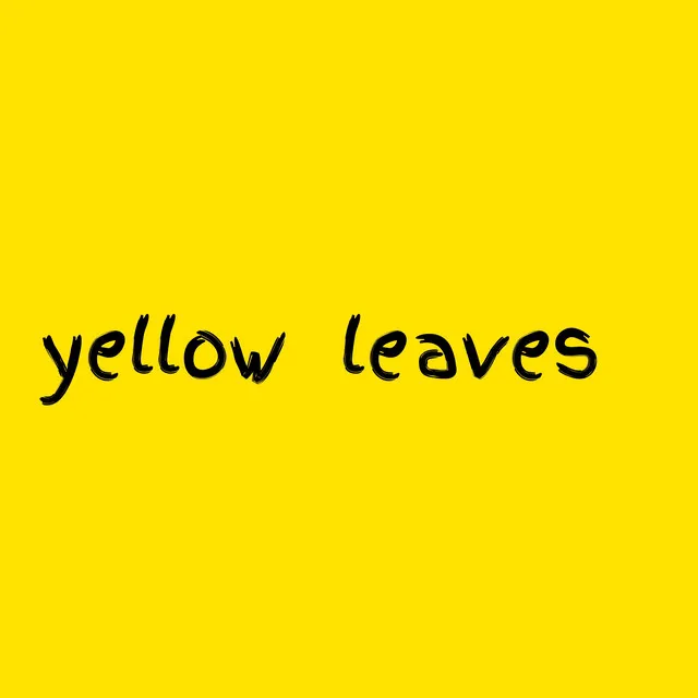 Yellow Leaves