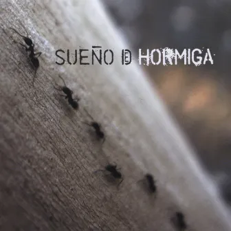 Sueño De Hormiga by Sueño De Hormiga