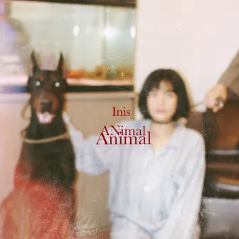 Animal by Inis