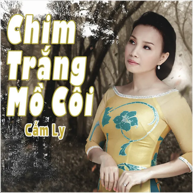 Chim Trắng Mồ Côi