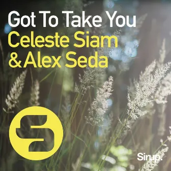 Got to Take You by Celeste Siam