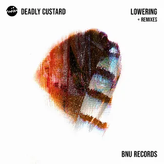 Lowering + Remixes by Deadly Custard