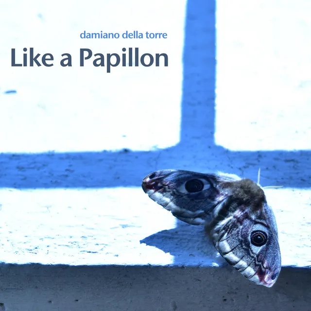 Like a Papillon