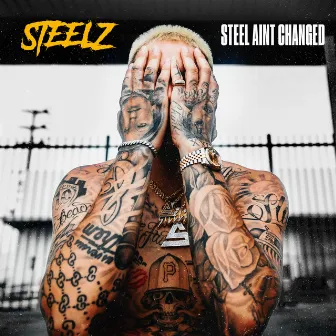 Steel Ain't Changed by Steelz