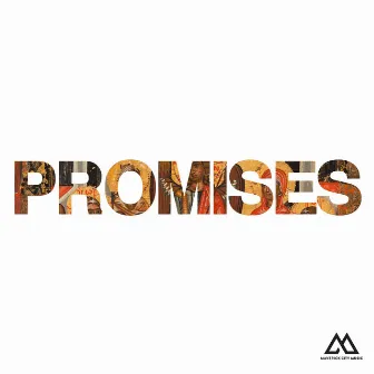 Promises (Radio Version) by Naomi Raine