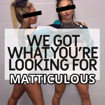 We Got What You're Looking For by Matticulous