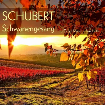 Schubert: Schwanengesang by Hans Hotter