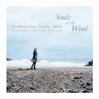 Souls of the Wind by Christina Dahl