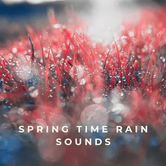 Spring Time Rain Sounds by Drive In The Rain