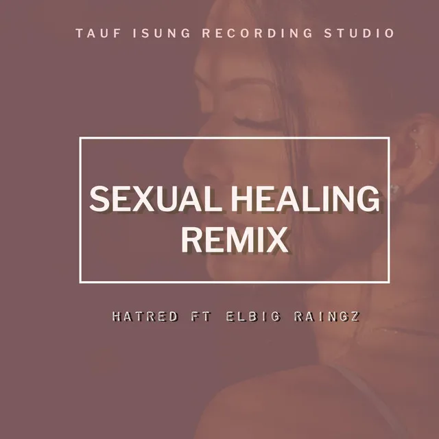 Sexual Healing - remix