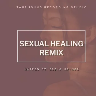 Sexual Healing (remix) by Elbig Raingz