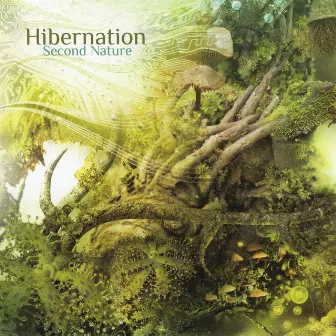 Second Nature by Hibernation