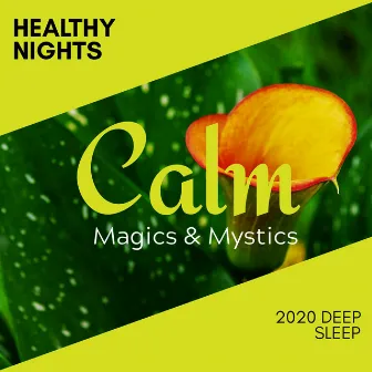 Healthy Nights - 2020 Deep Sleep by Relaxing Minds