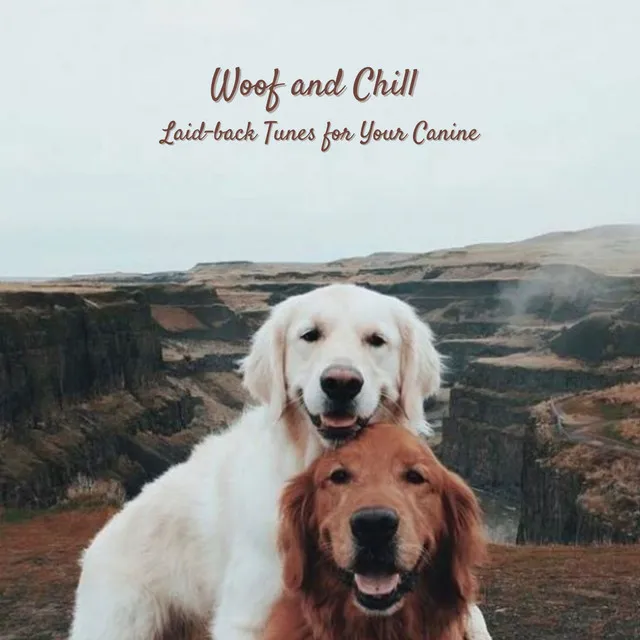 Woof and Chill: Laid-back Tunes for Your Canine