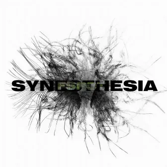 SYNESTHESIA by Fspot