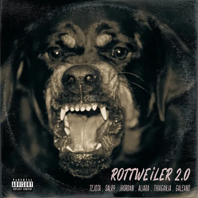 Rottweiler 2.0