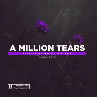 A Million Tears (Slowed and Chopped) by E The Rapper