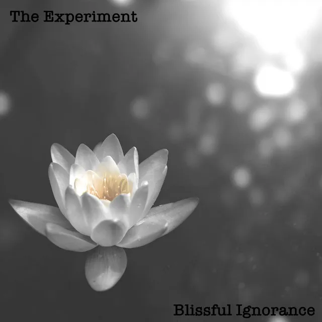 Blissful Ignorance