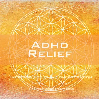 ADHD Relief (Increase Focus & Concentration) by Magnetic Minds Meditations