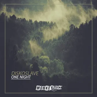 One Night by Diskoslave